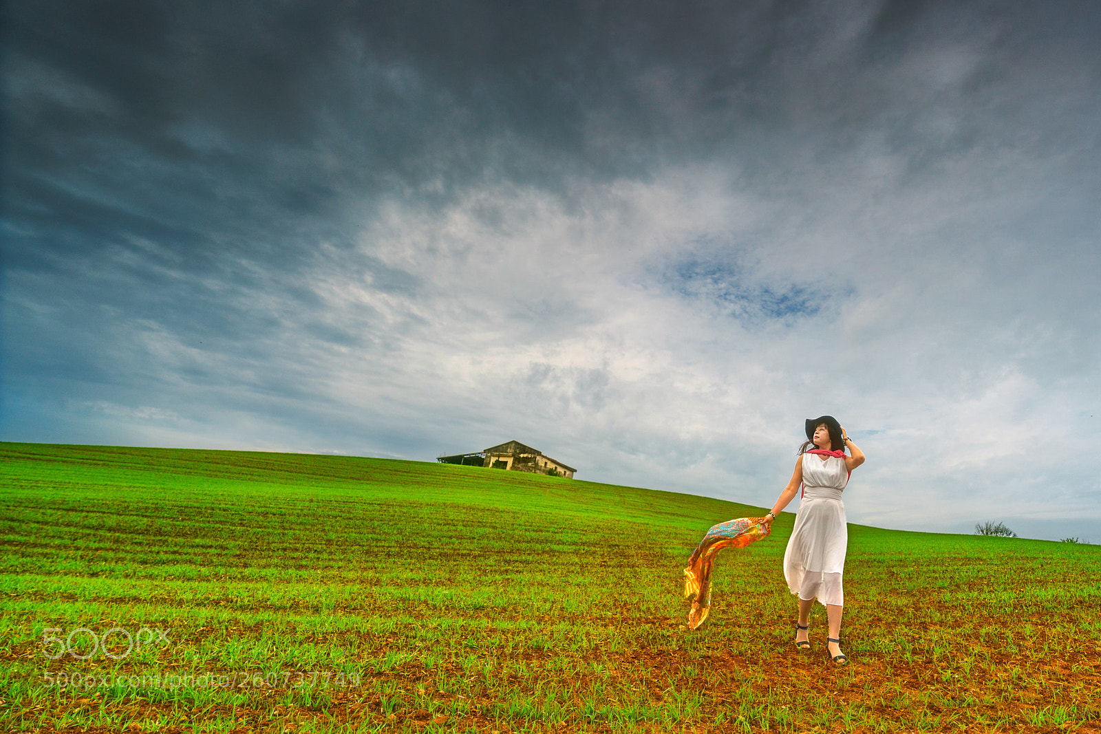 Sony a7R III sample photo. Hill of the wind photography