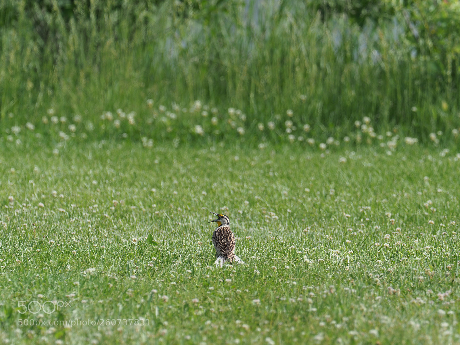 Olympus OM-D E-M1 Mark II sample photo. Olympus digital camera photography