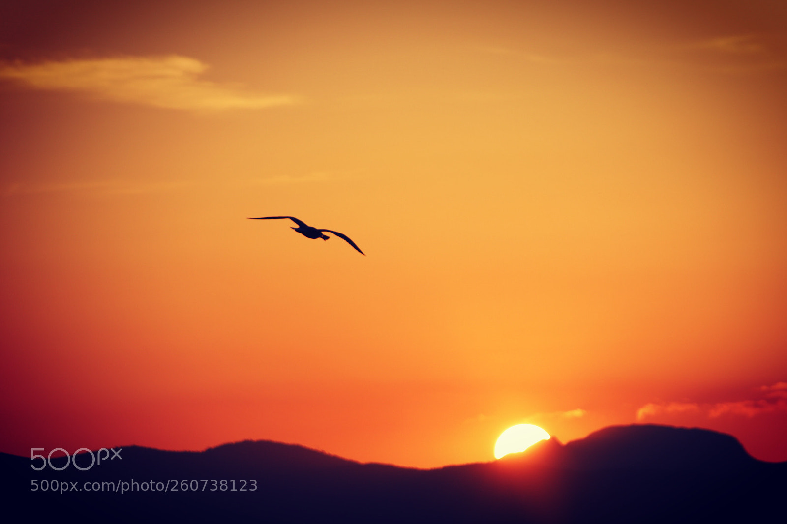 Canon EOS 6D Mark II sample photo. Untitled photography