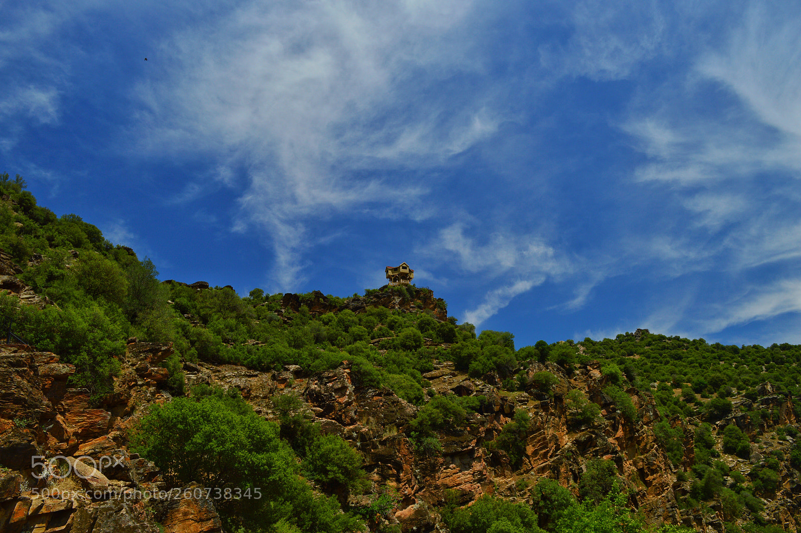 Nikon D3200 sample photo. Untitled photography