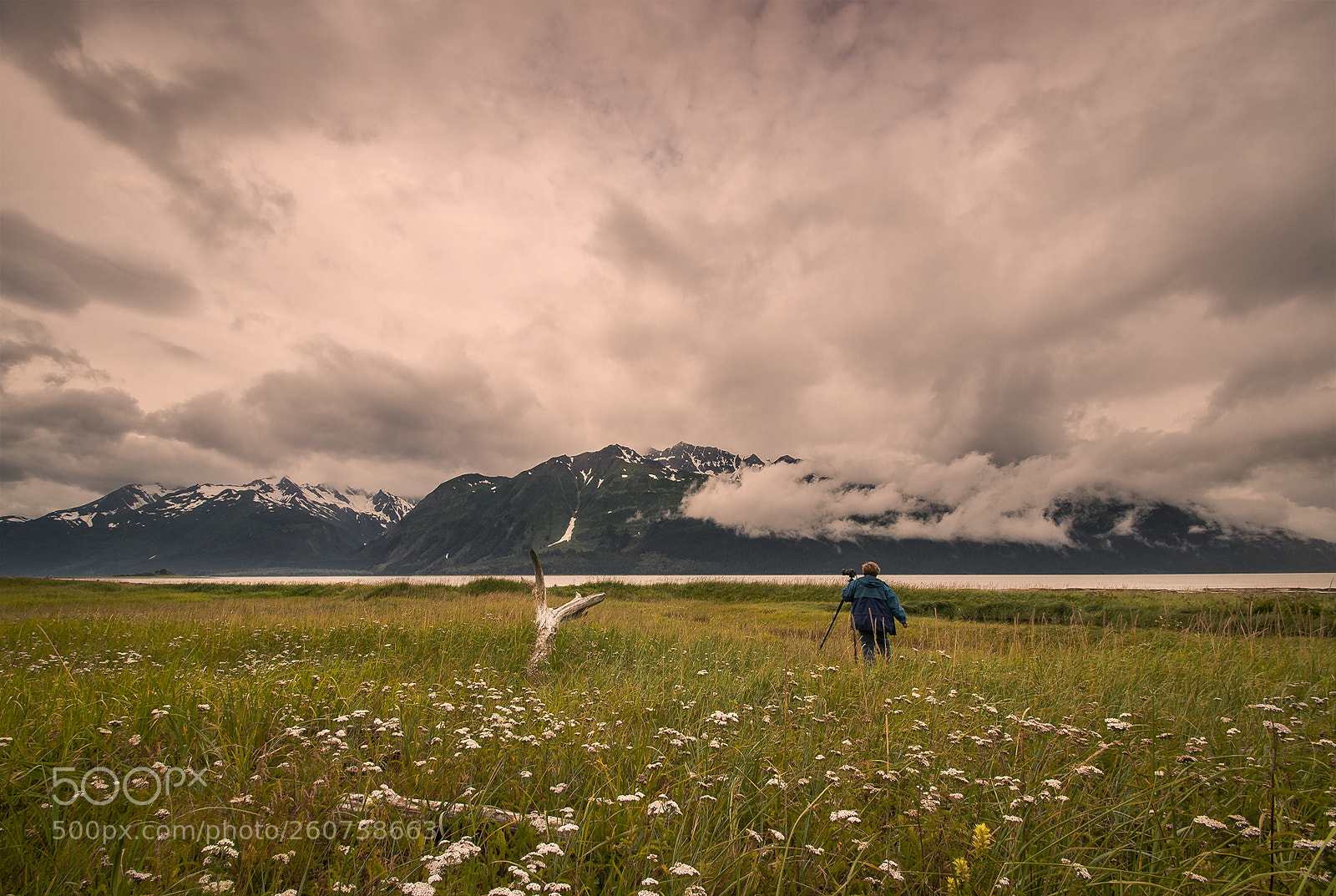 Nikon D90 sample photo. Wide land photography