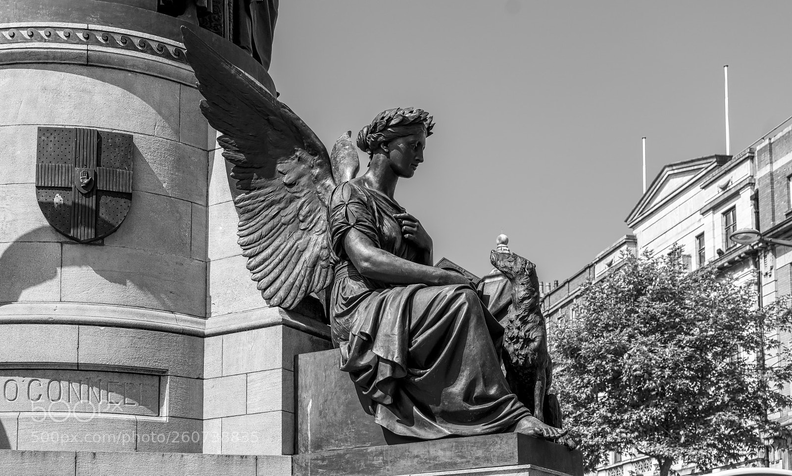 Sony a7 sample photo. B & w photography