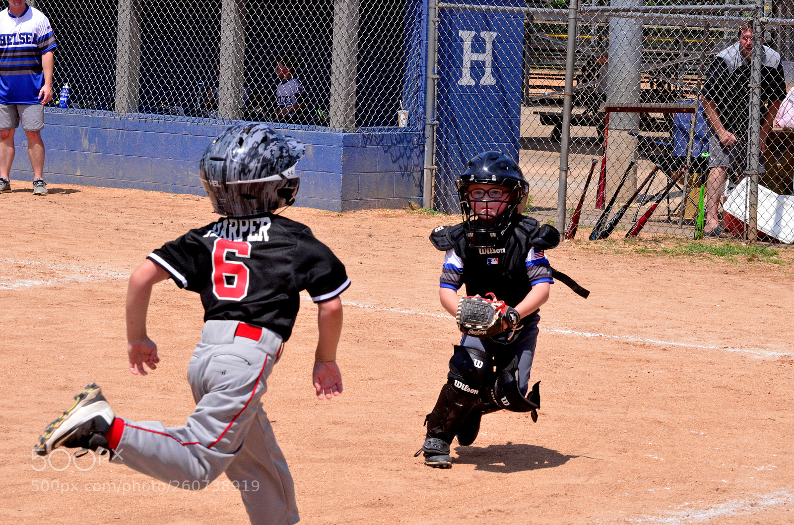 Nikon D7000 sample photo. Intensity photography