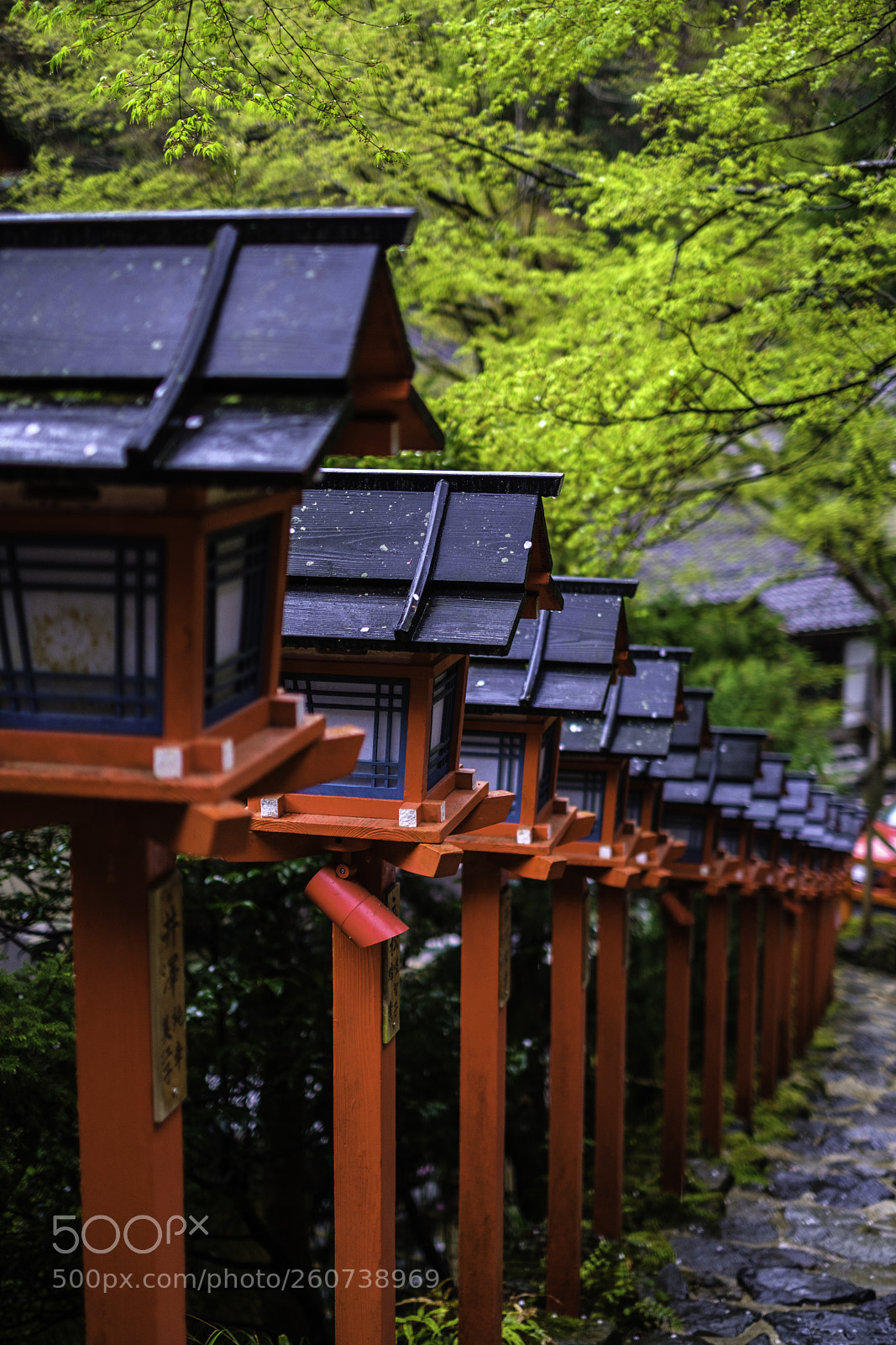 Fujifilm X-T2 sample photo. Japan-貴船神社 photography