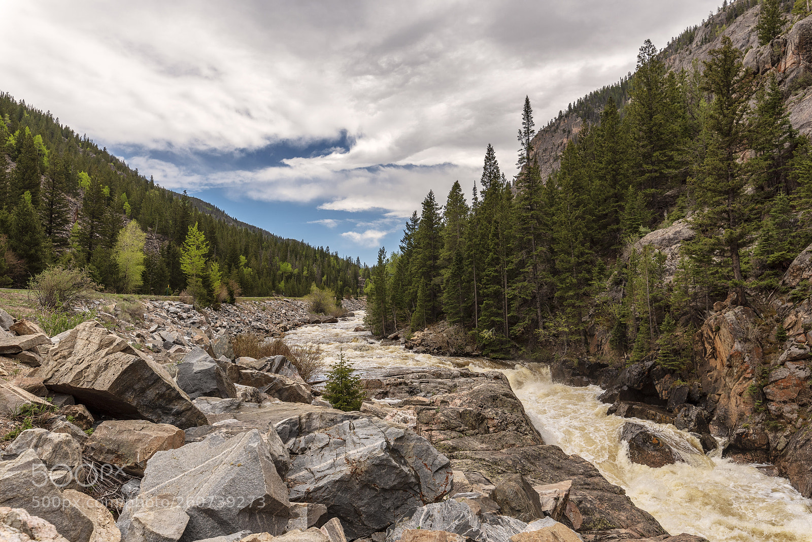 Nikon D750 sample photo. Spring runoff photography
