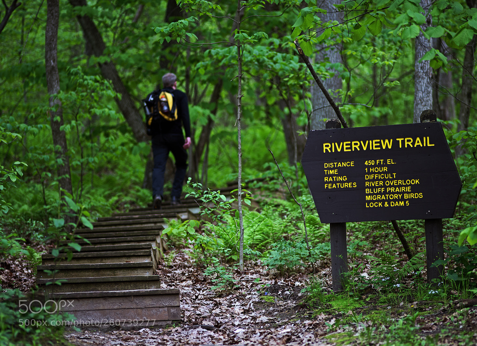 Nikon D810 sample photo. Hiking the riverview trail photography