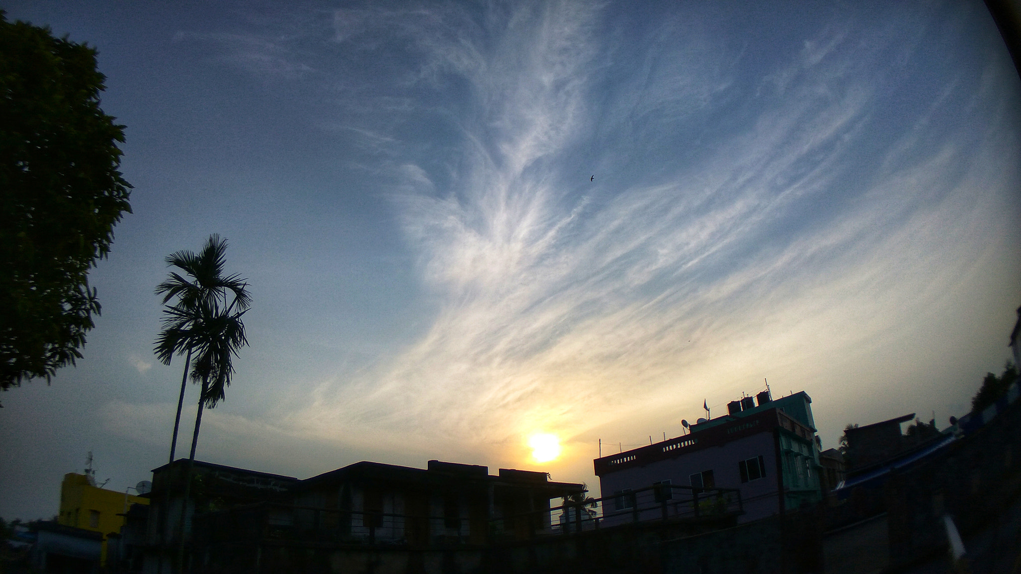 Xiaomi Redmi Note3 sample photo. Good morning photography