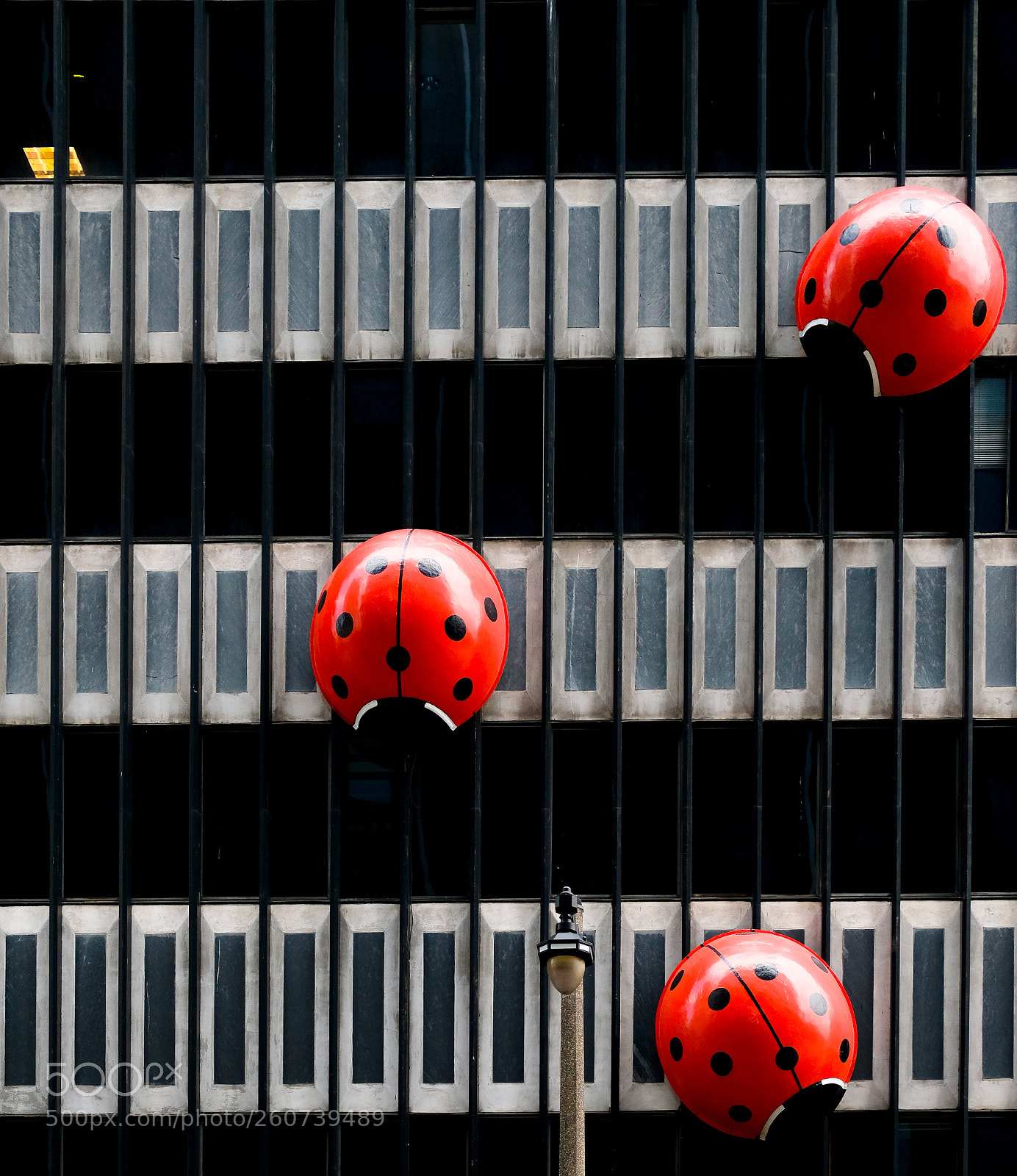 Fujifilm X-T2 sample photo. Ladybug building photography