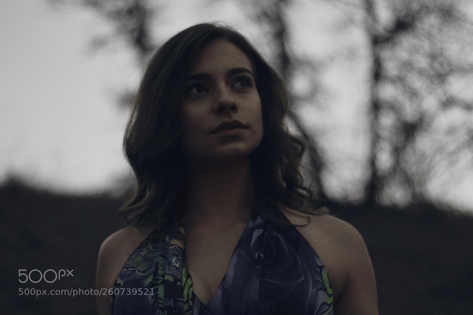 Canon EOS 70D sample photo. Sierra jolene 2018 photography