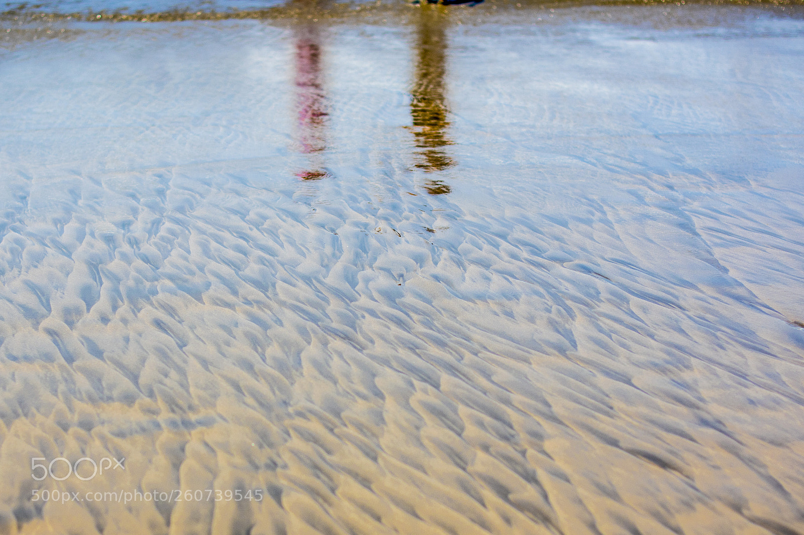 Nikon D3400 sample photo. Reflections in the sand photography