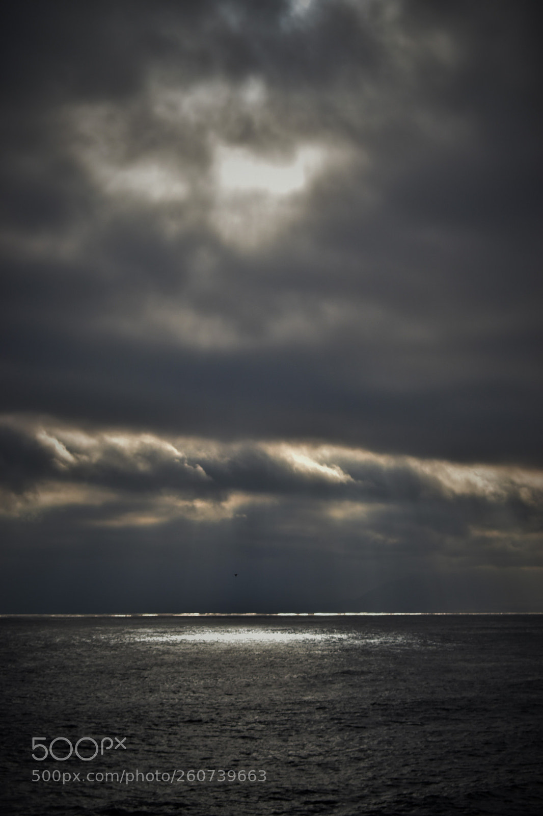Nikon D5500 sample photo. Acerca del mar 1 photography