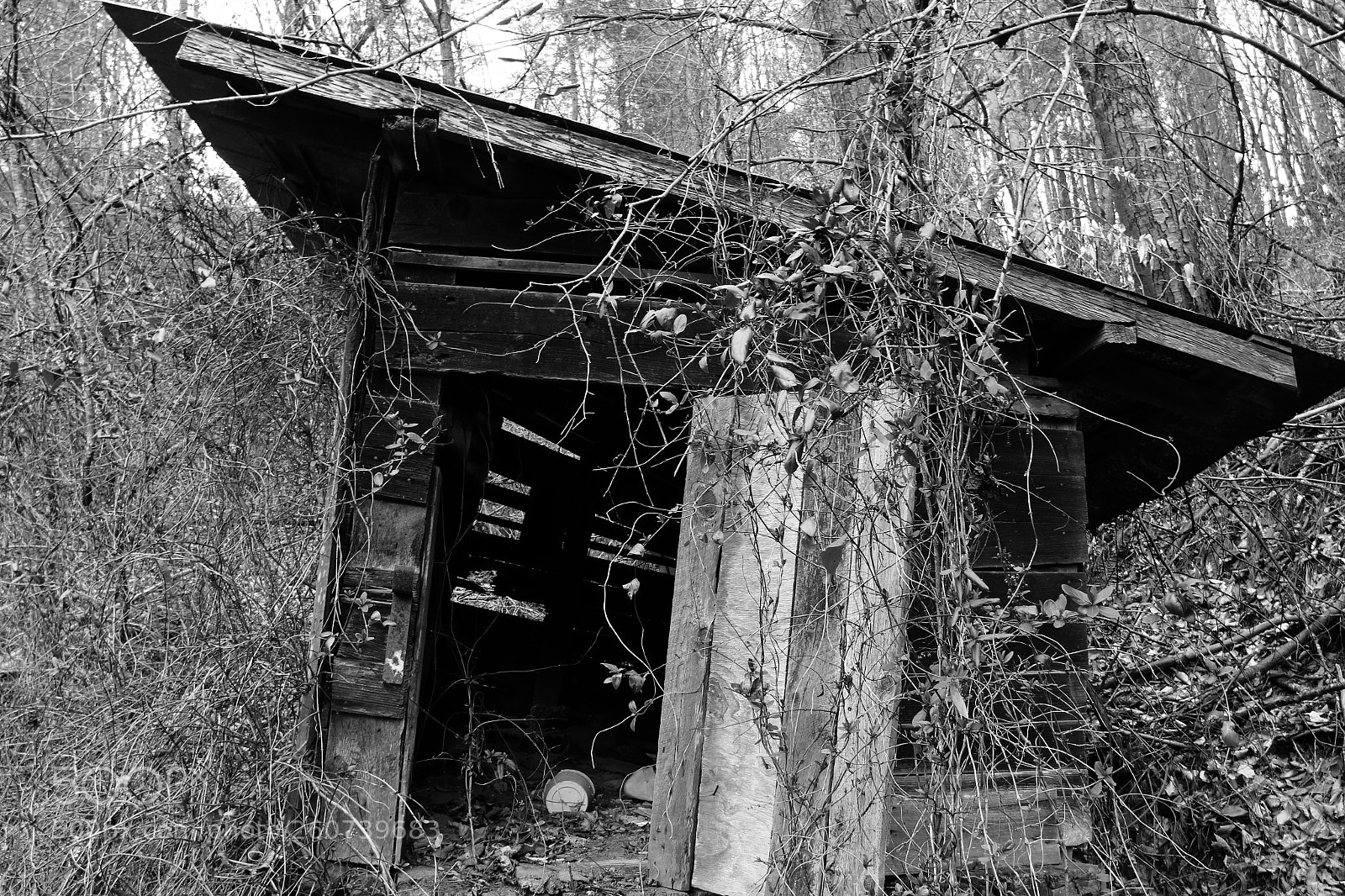 Canon EF-S 18-200mm F3.5-5.6 IS sample photo. Abandoned shack photography