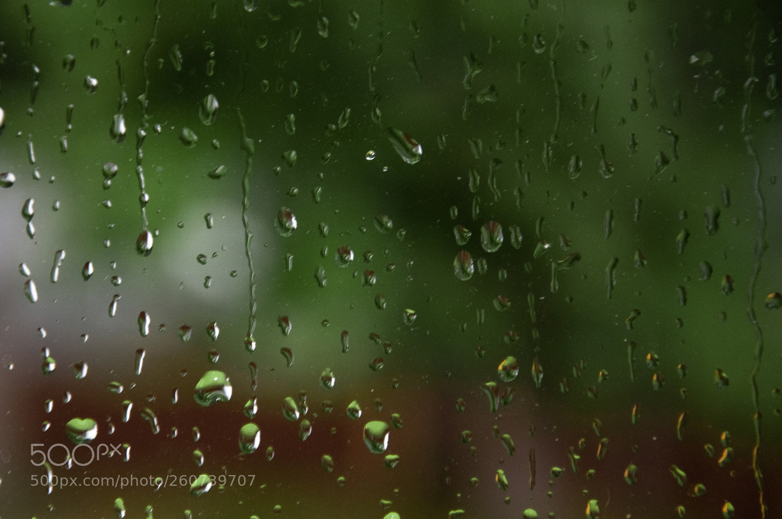 Nikon D90 sample photo. Rain on window photography