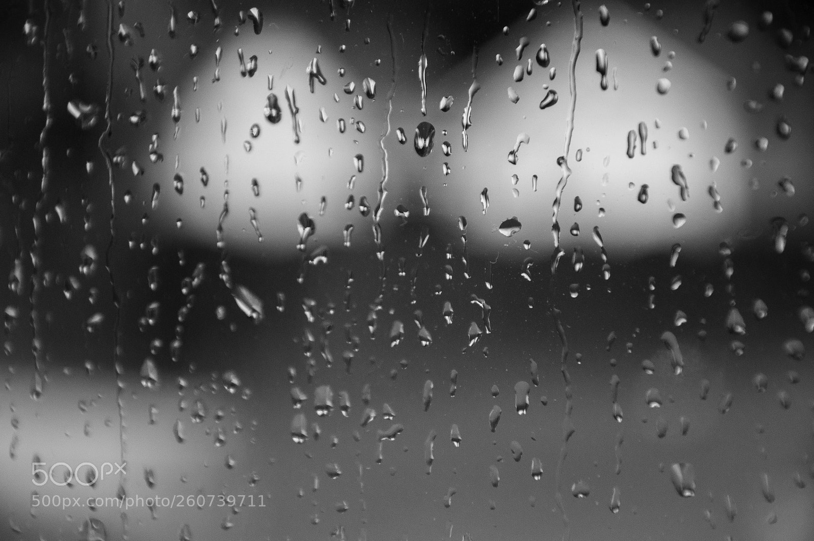 Nikon D90 sample photo. Rain photography