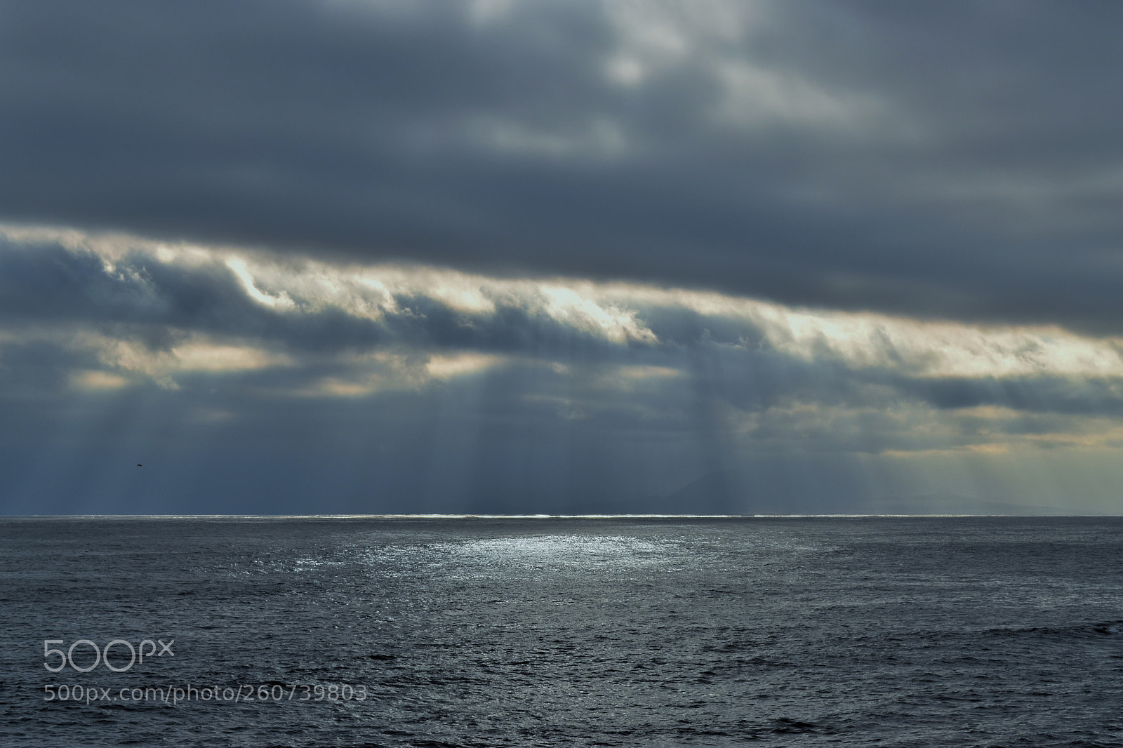 Nikon D5500 sample photo. Acerca del mar 2 photography