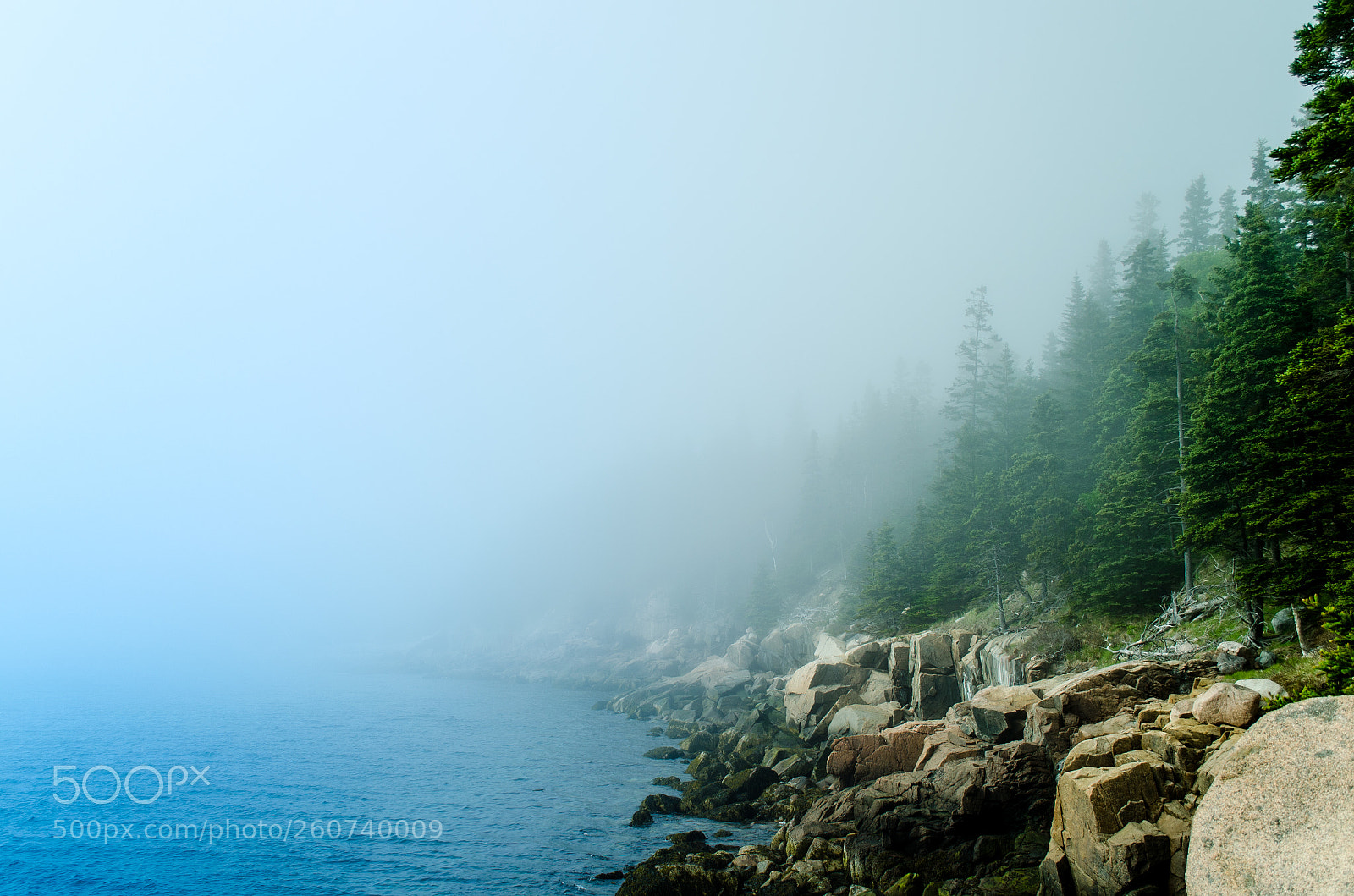 Nikon D5100 sample photo. Misty otter cliff photography