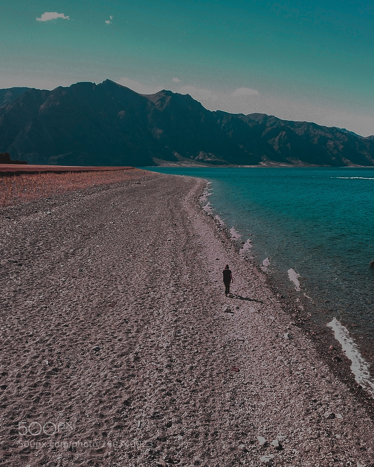 DJI FC220 sample photo. Take a walk on photography