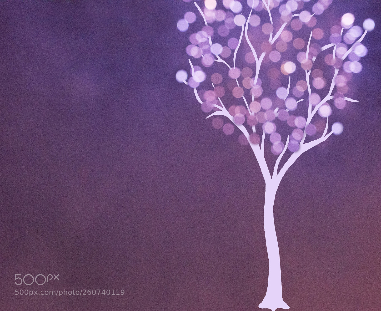 Nikon D810 sample photo. Surreal tree with bokeh photography