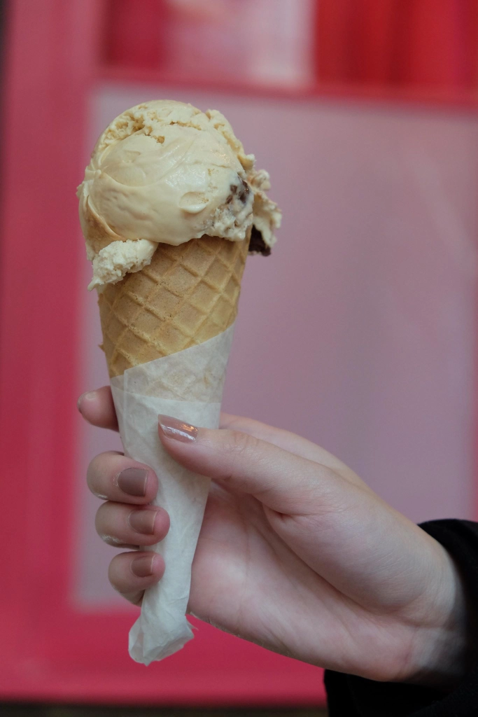 2.jpg by SophiaHo on 500px.com