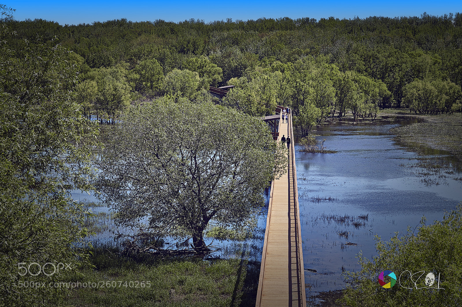 Canon EOS 5D Mark II sample photo. Passerelle photography