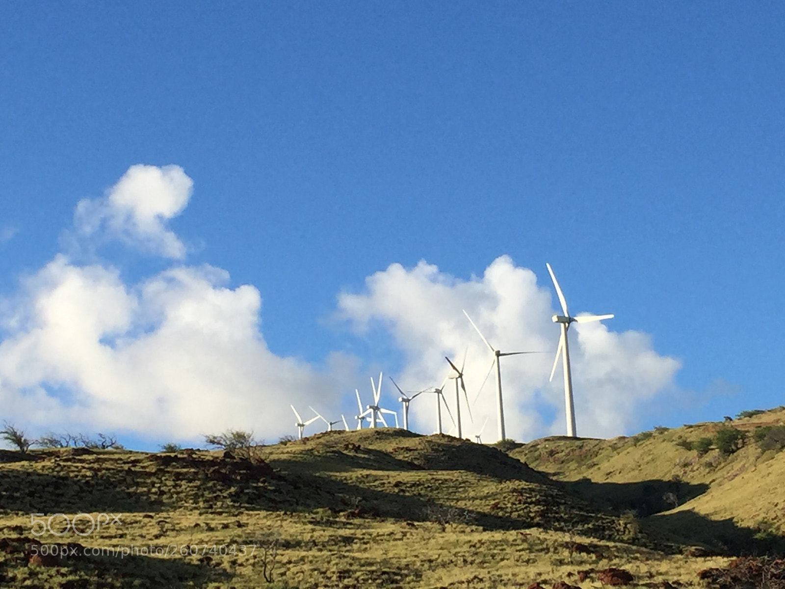 Apple iPhone 6 sample photo. Windmills photography