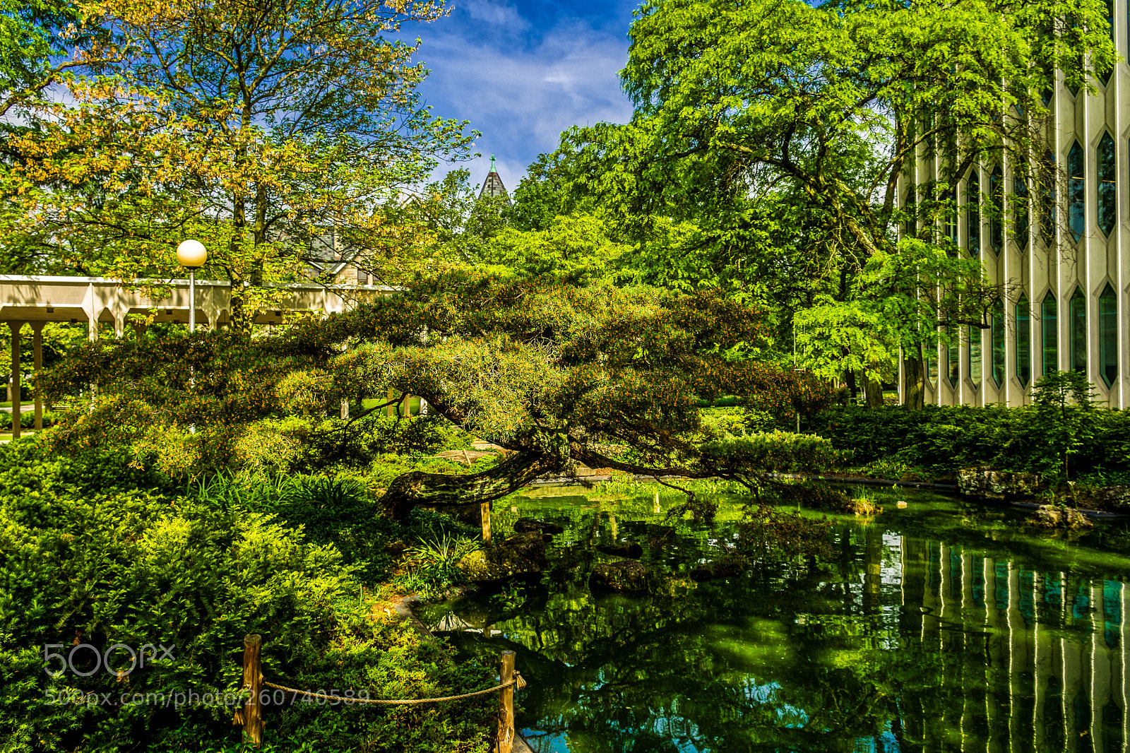 Nikon D7200 sample photo. Oberlin conservatory koi pond photography