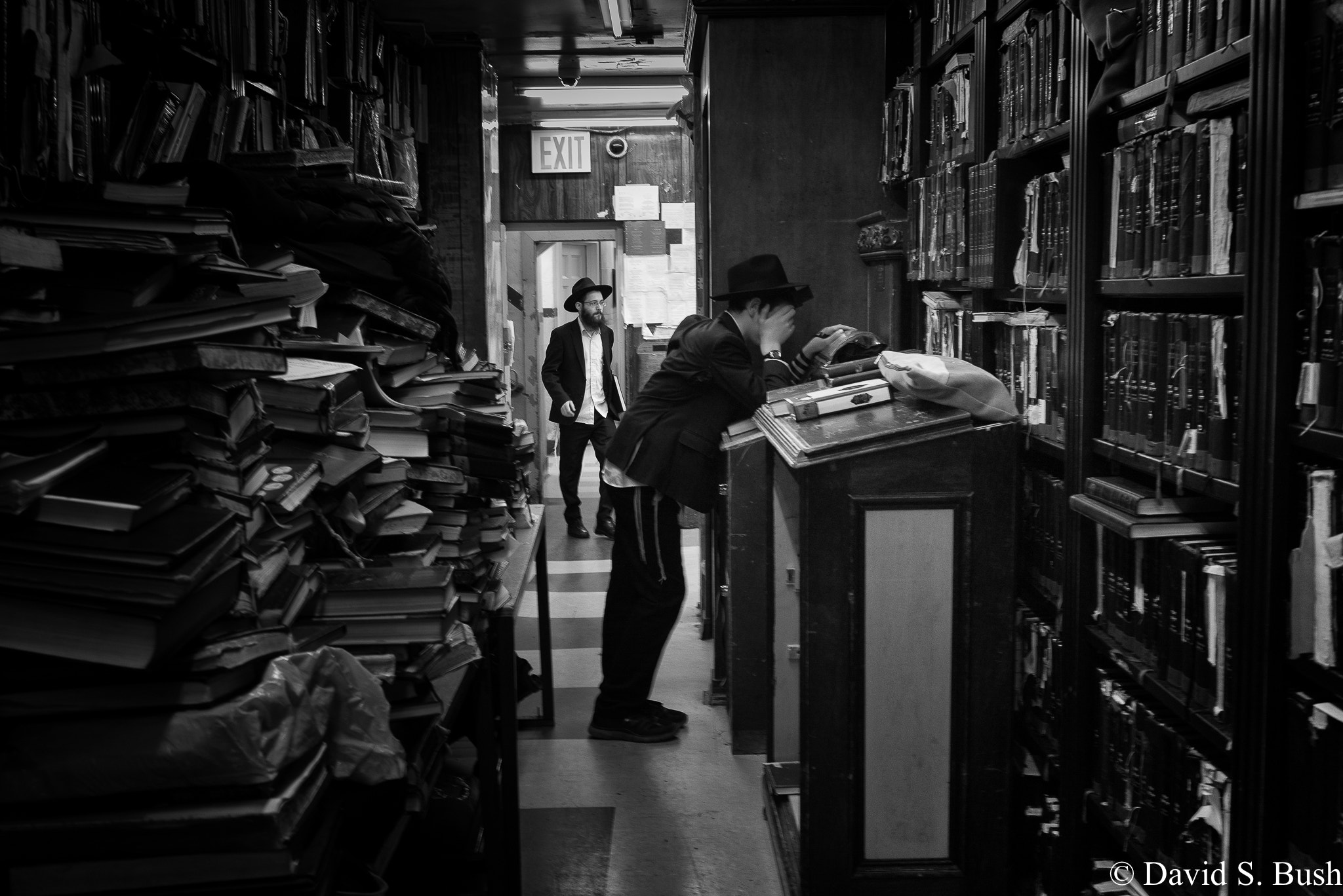 Leica M Monochrom (Typ 246) sample photo