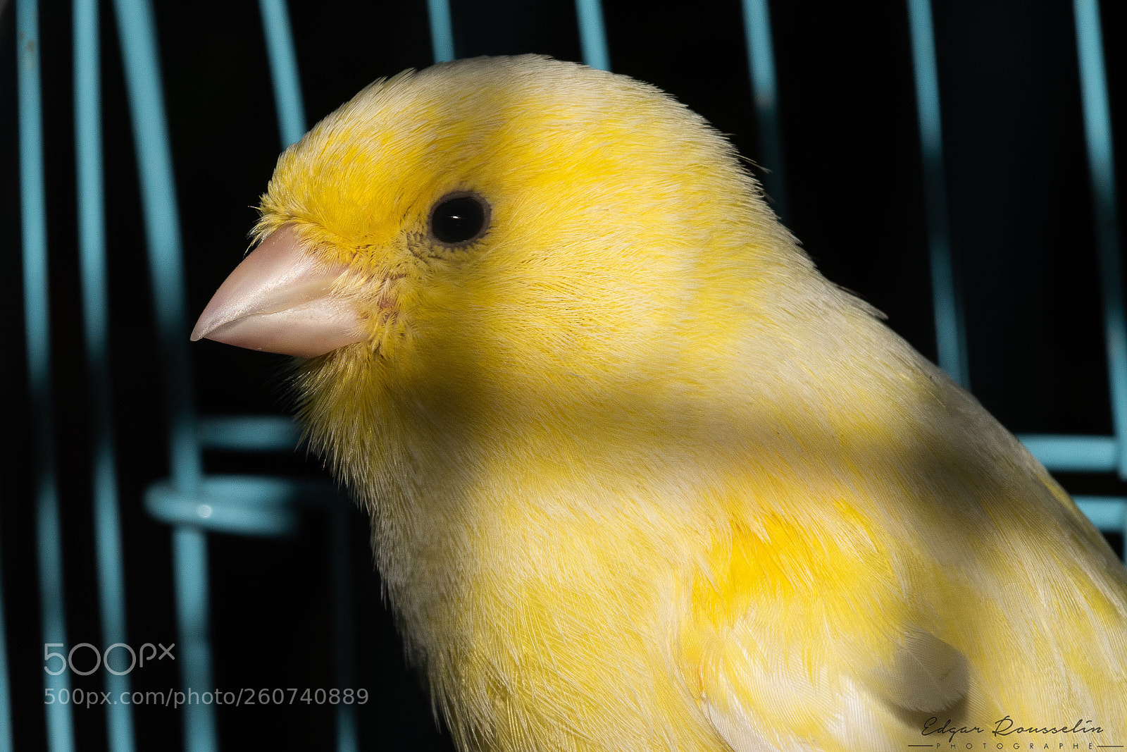 Nikon D750 sample photo. Prison  photography