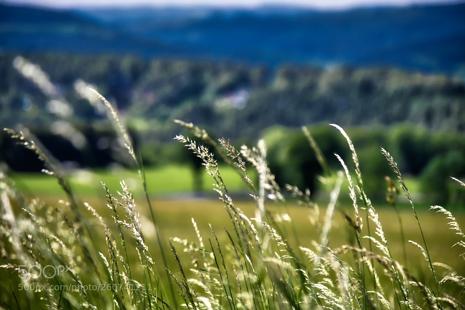 Nikon D850 sample photo. Landescape  photography