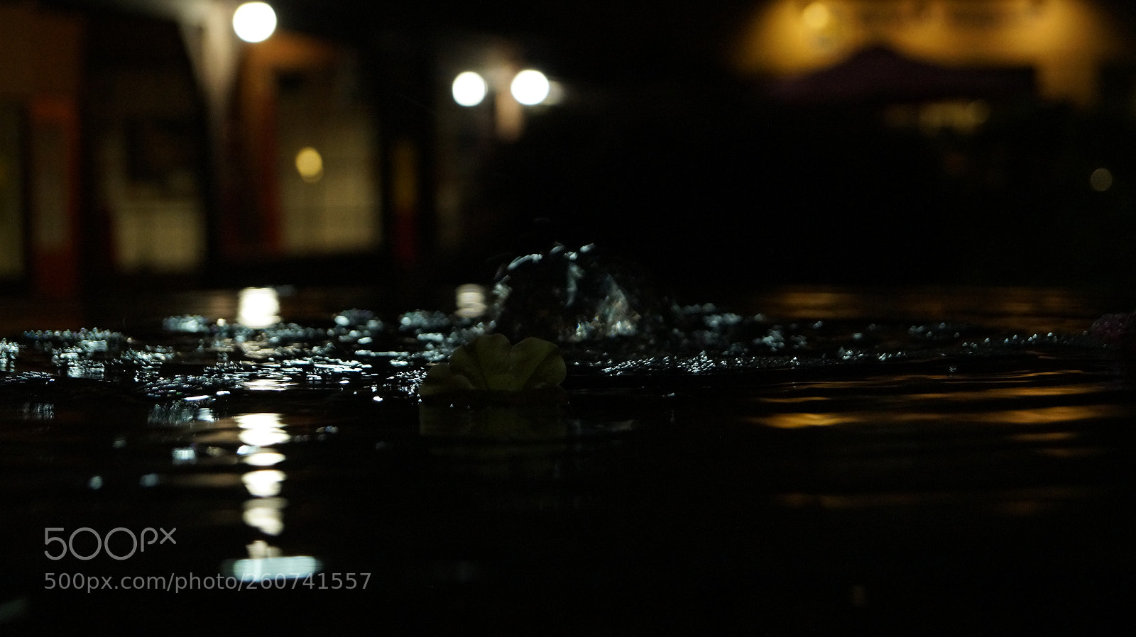 Sony SLT-A58 sample photo. Dsc photography