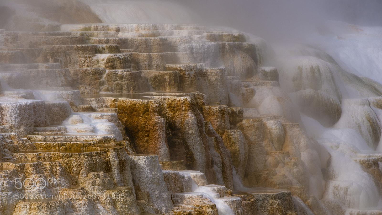 Nikon D610 sample photo. Mystic photography