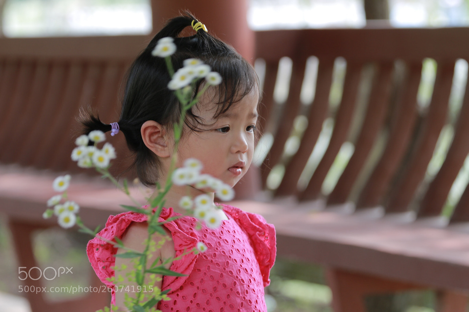 Canon EOS 70D sample photo. Untitled photography