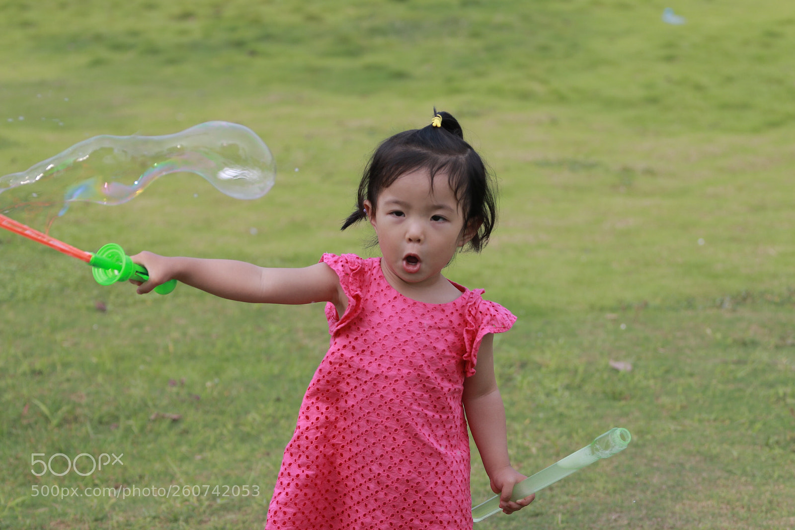 Canon EOS 70D sample photo. Untitled photography