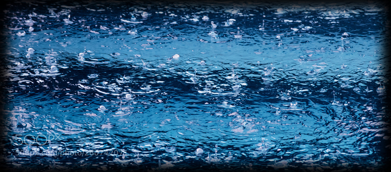 Nikon D3300 sample photo. Raindrops keep falling photography