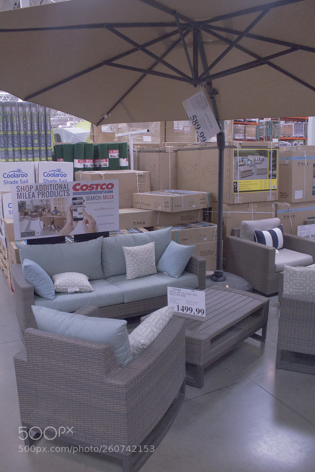 Canon EOS 1200D (EOS Rebel T5 / EOS Kiss X70 / EOS Hi) sample photo. Shipments at costco. photography