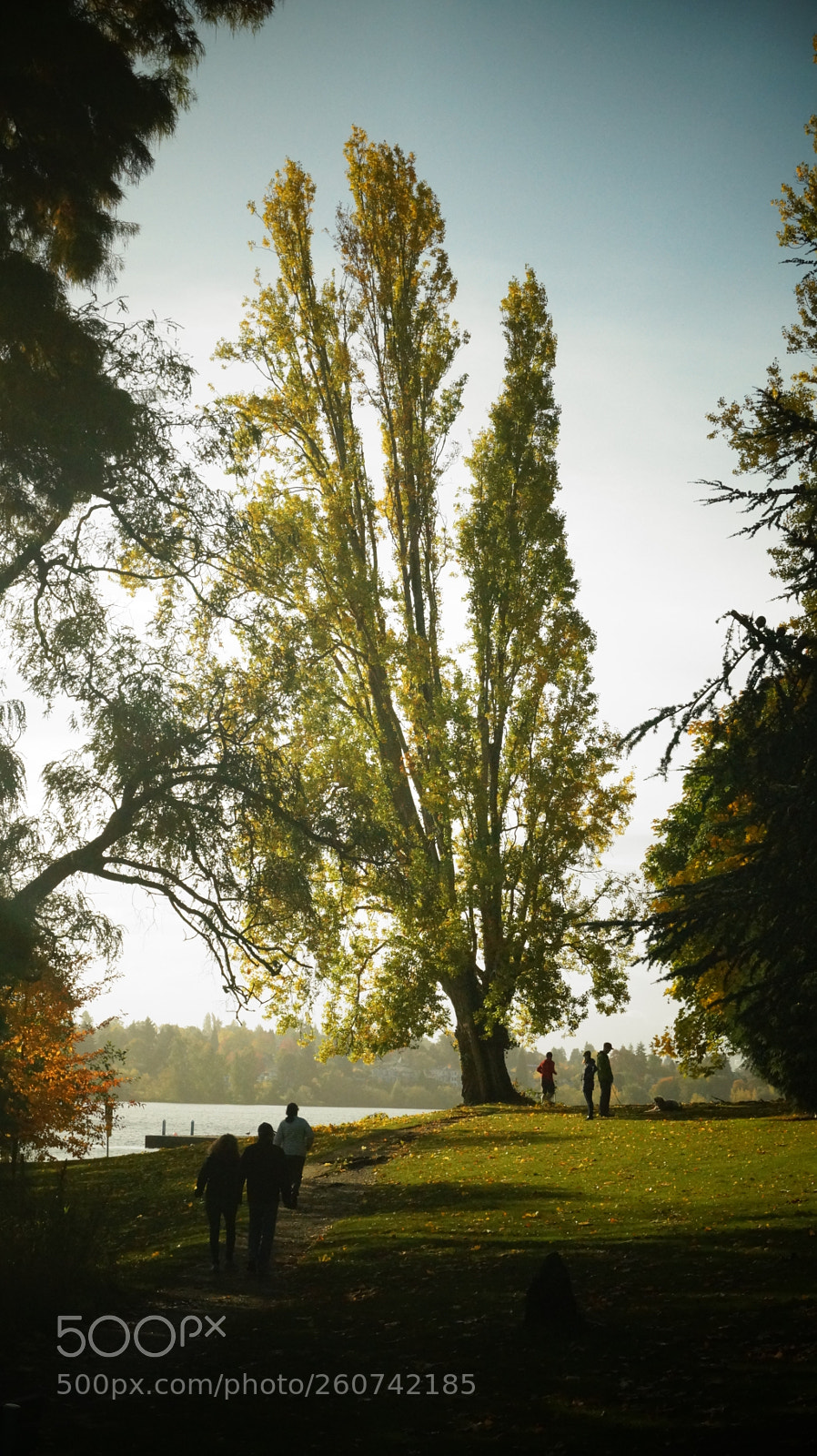 Sony SLT-A58 sample photo. Greenlake photography