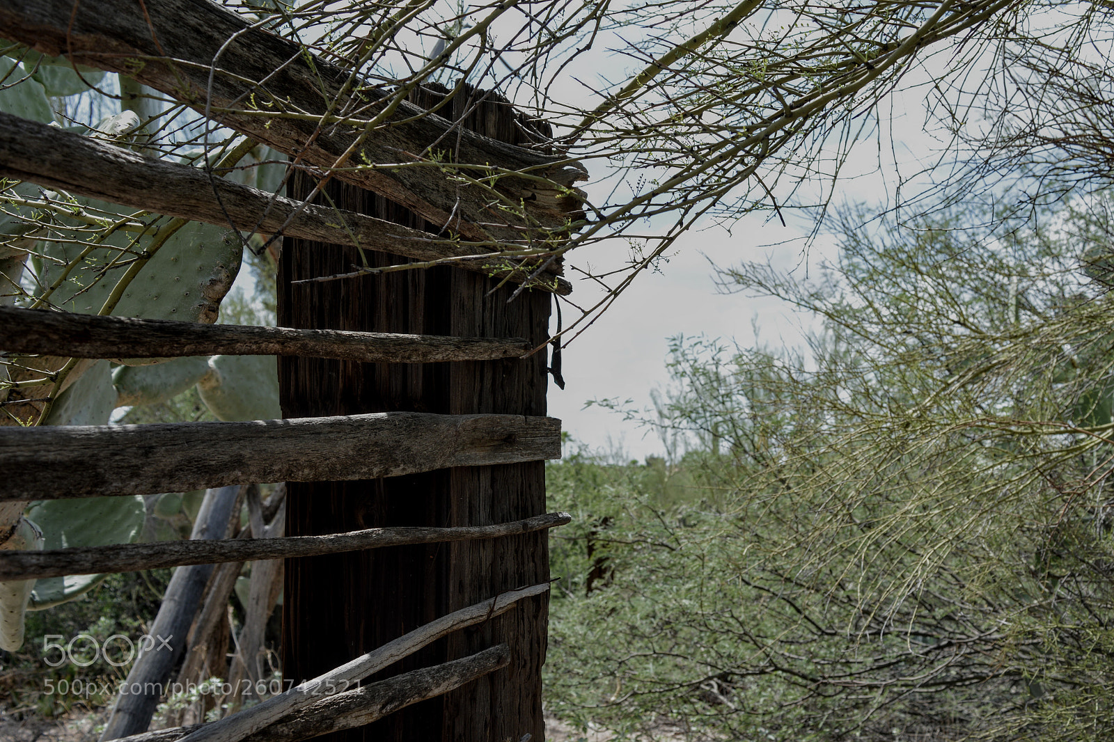 Nikon D3200 sample photo. Posting up photography