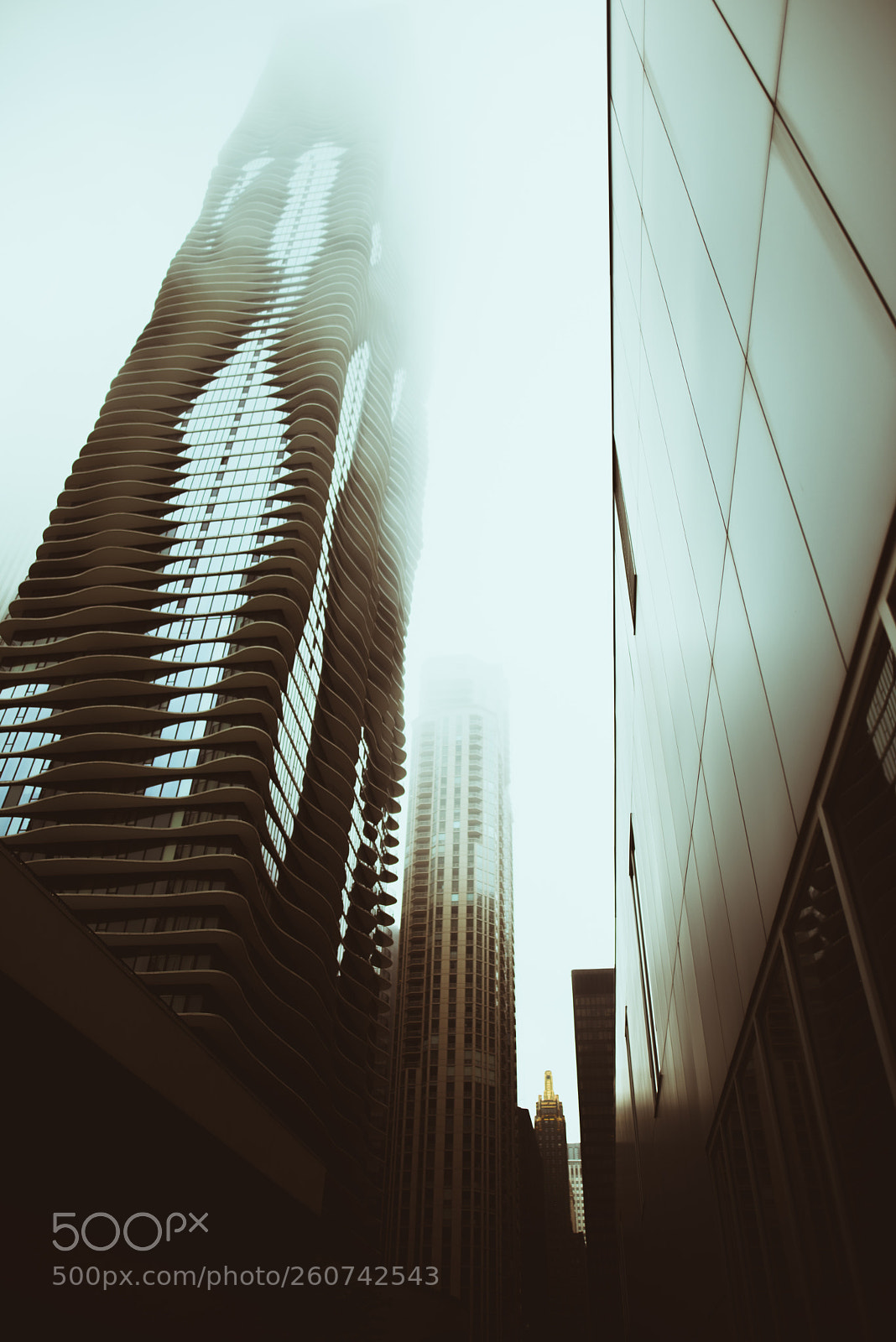 Nikon D750 sample photo. Chicago photography