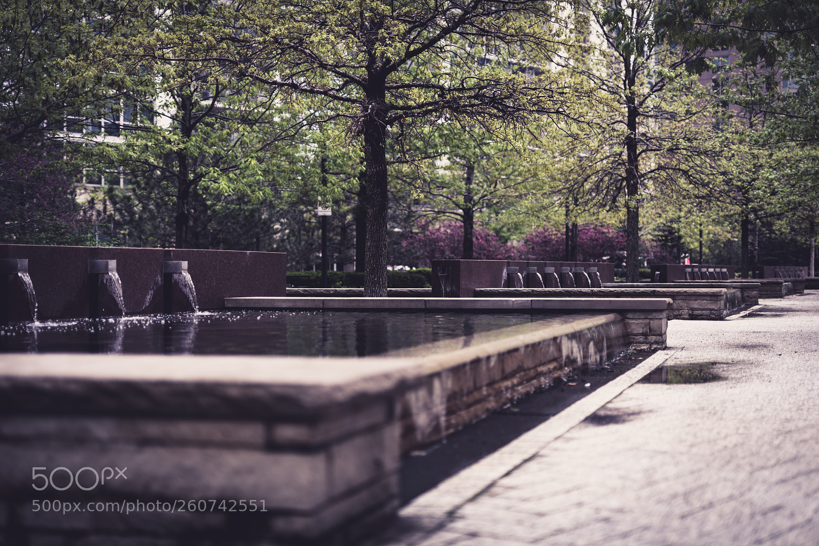 Nikon D750 sample photo. Chicago photography