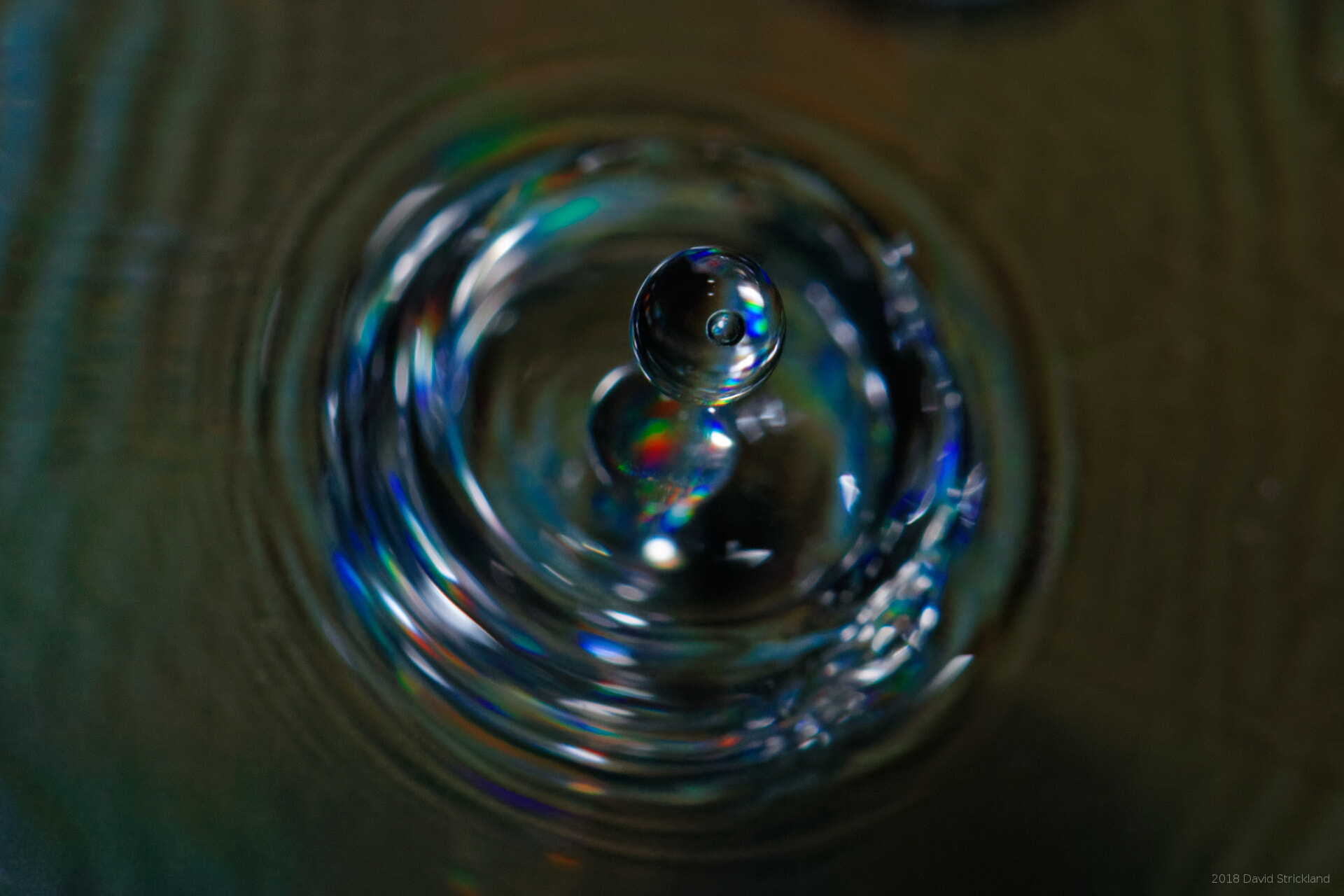 Canon EF 100mm F2.8L Macro IS USM sample photo. Deathstar drop photography