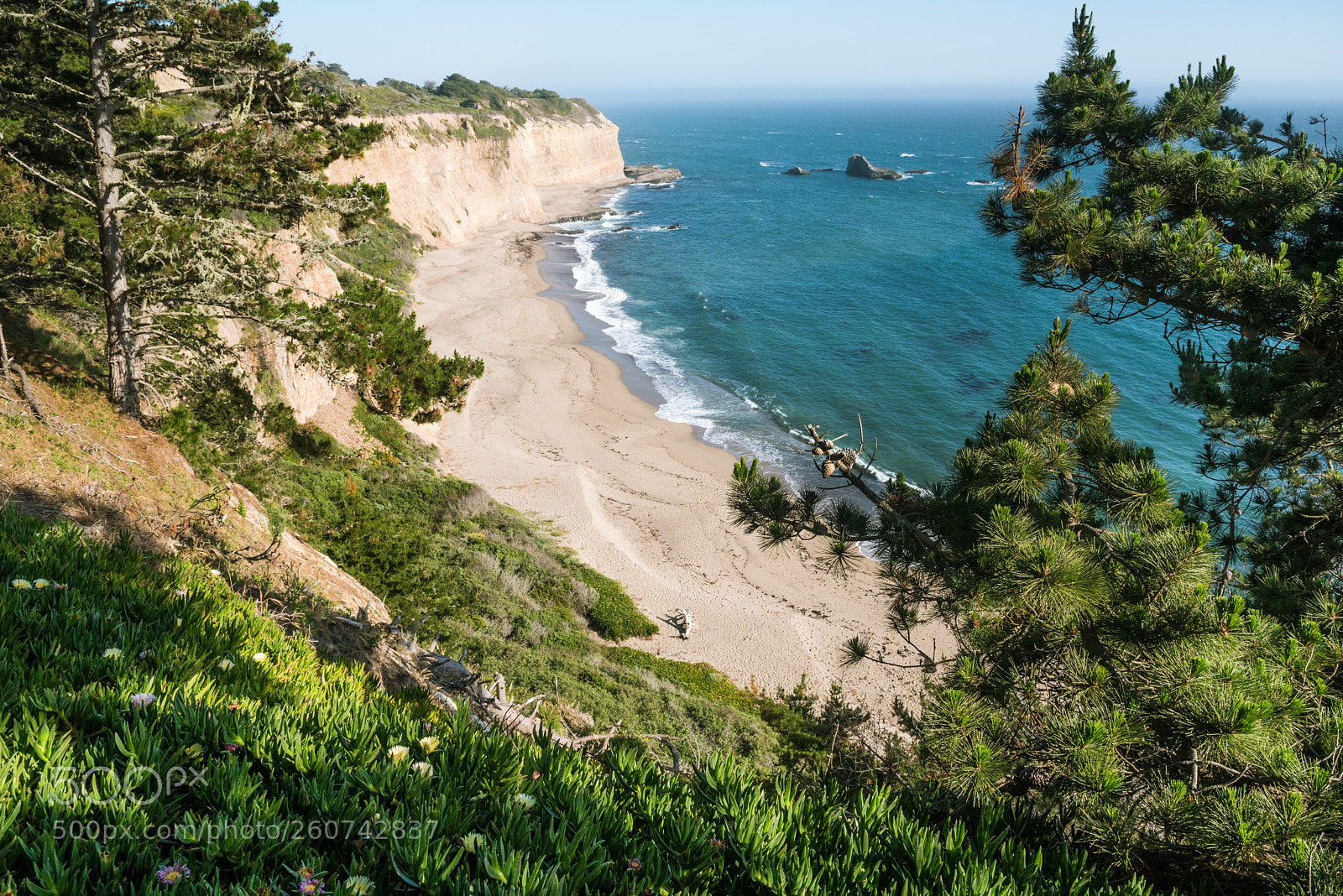 Nikon D750 sample photo. Davenport beach photography