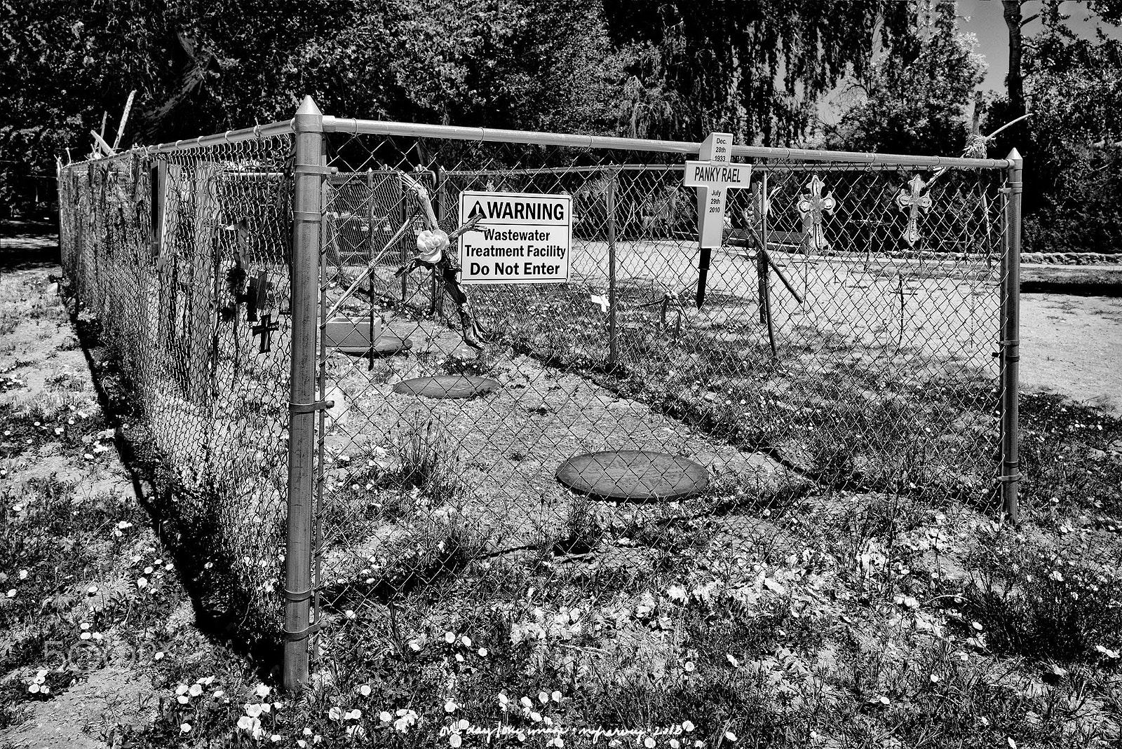 Leica M Monochrom (Typ 246) sample photo. Every opportunity photography