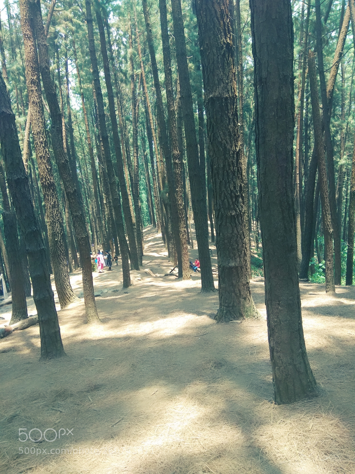 Xiaomi Redmi Note 4 sample photo. Untitled photography