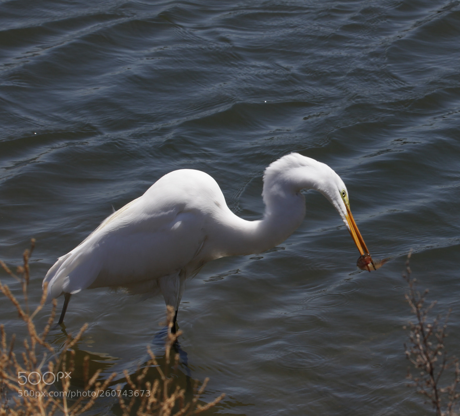 Canon EOS 5D Mark II sample photo. Img photography