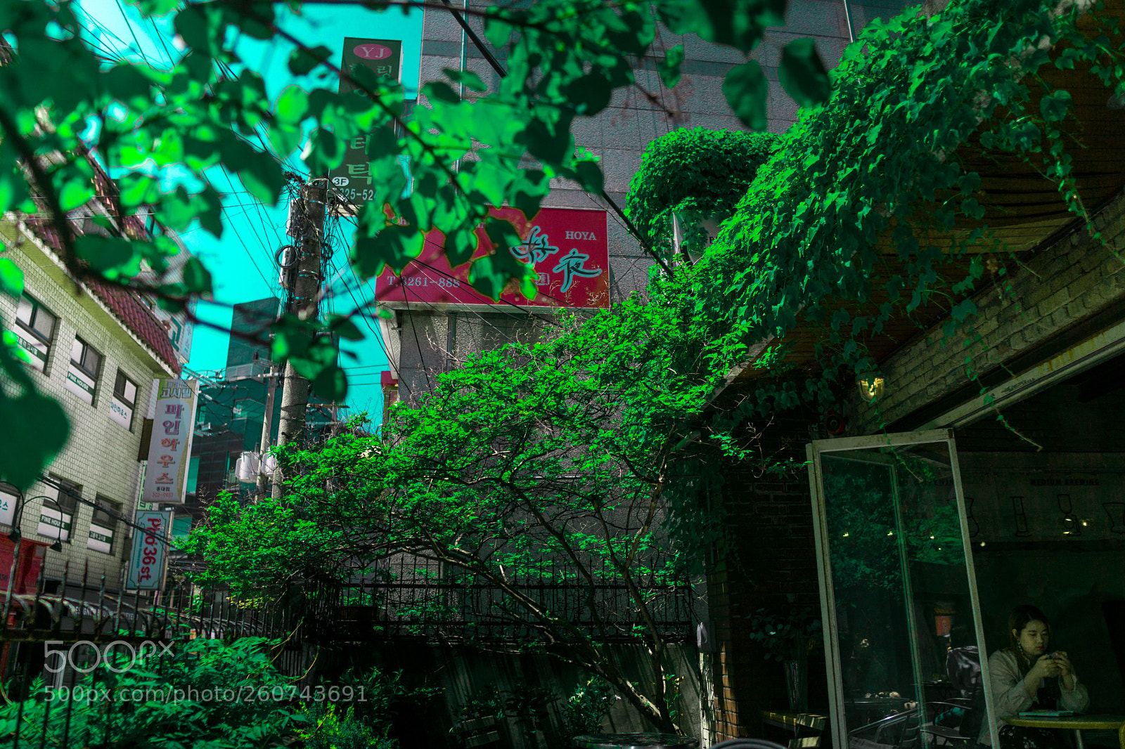 Sony a6000 sample photo. Dsc08301-2.jpg photography
