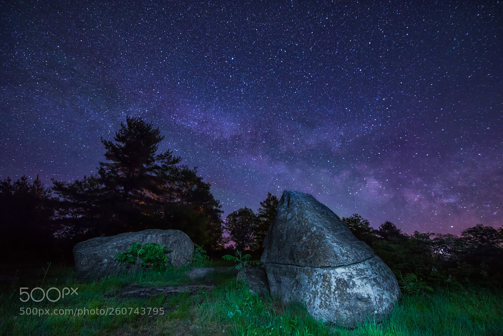 Nikon D810 sample photo. Under the stars photography