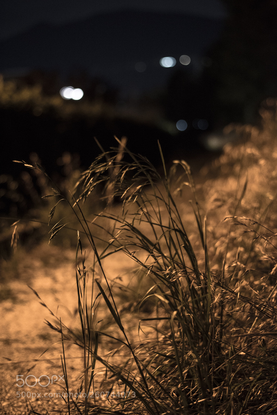 Nikon D810 sample photo. In a world  no.20 photography