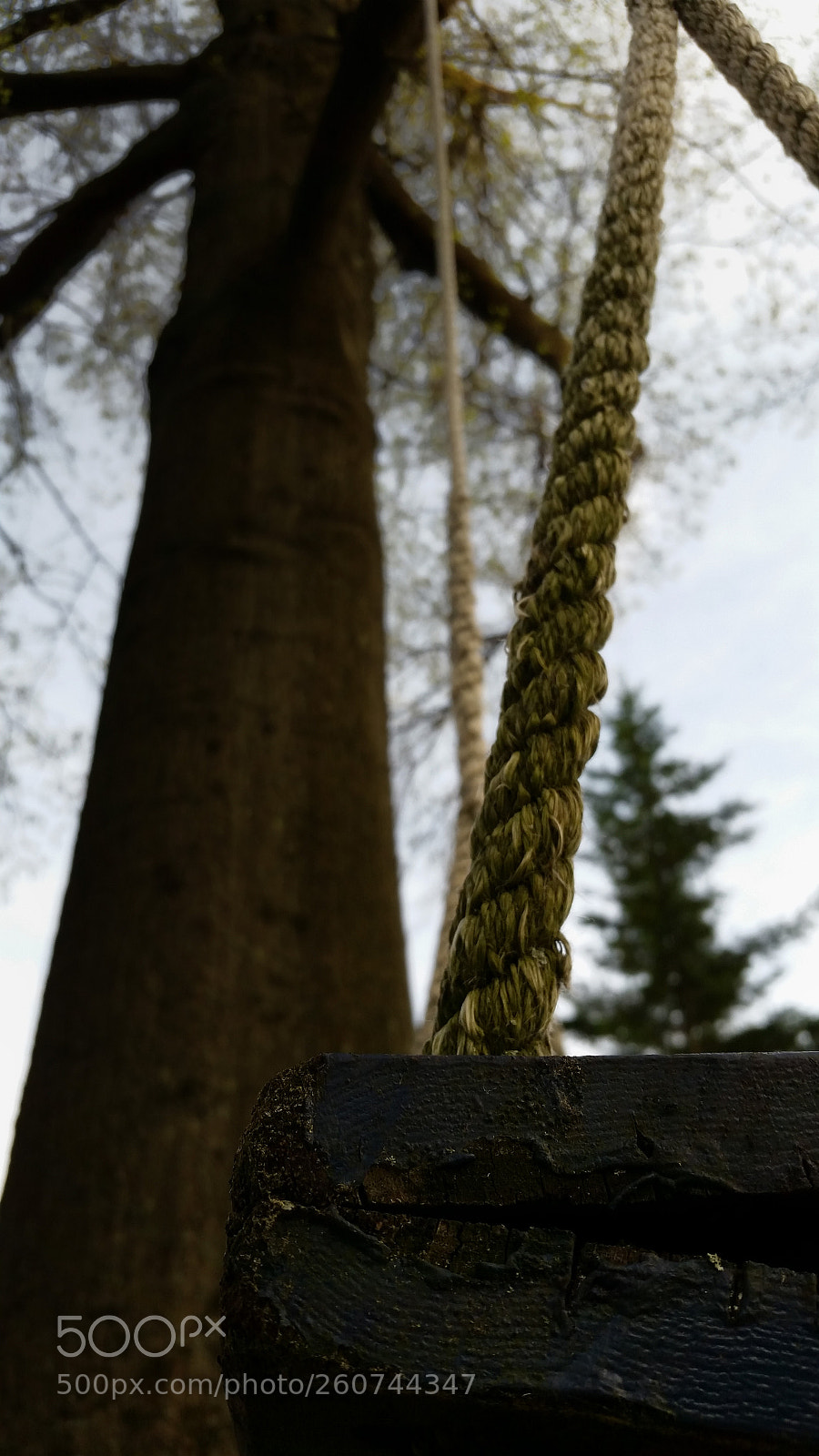 Samsung Galaxy S5 sample photo. 20180502_1913461.jpg photography