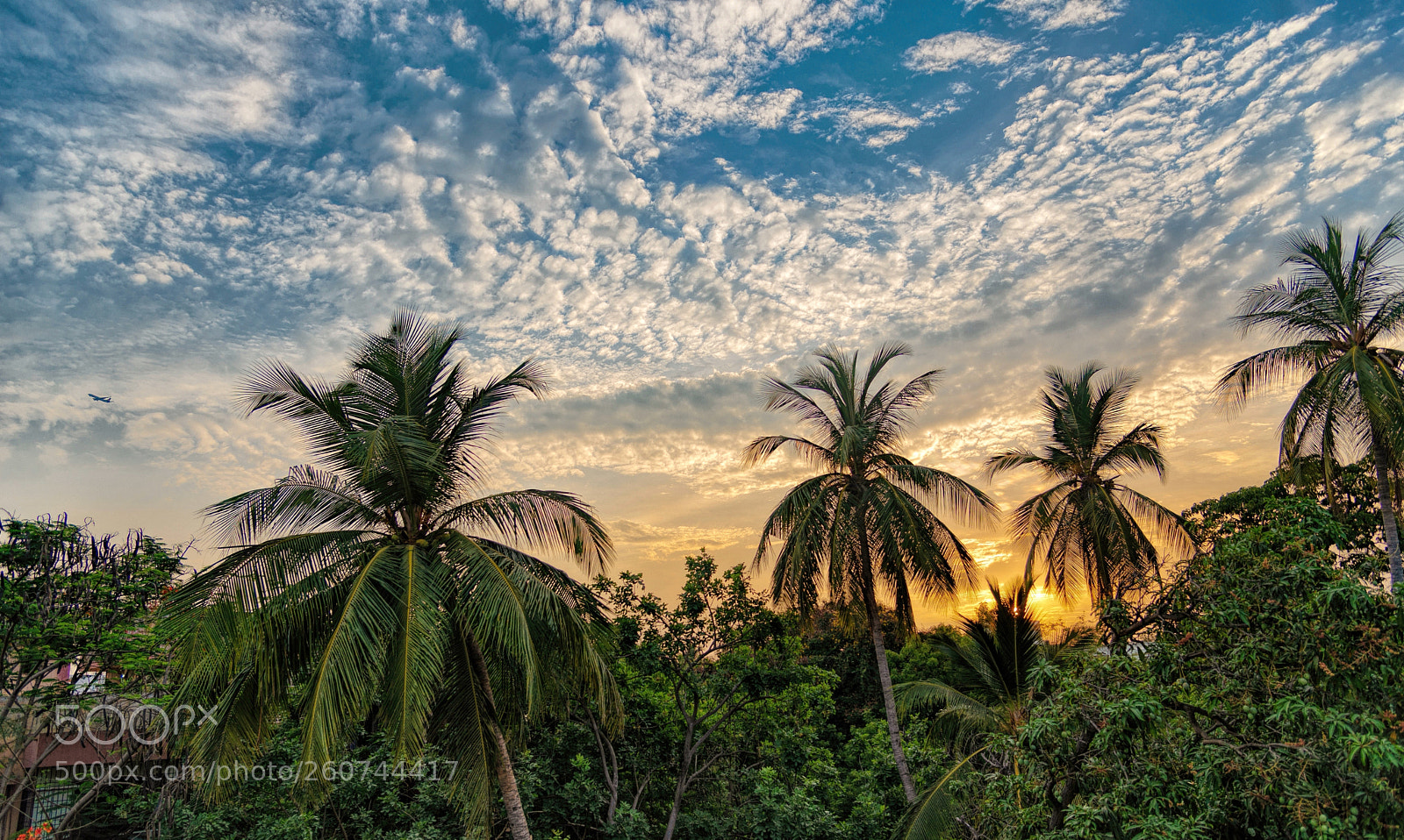 Nikon D610 sample photo. Tropical daybreak photography