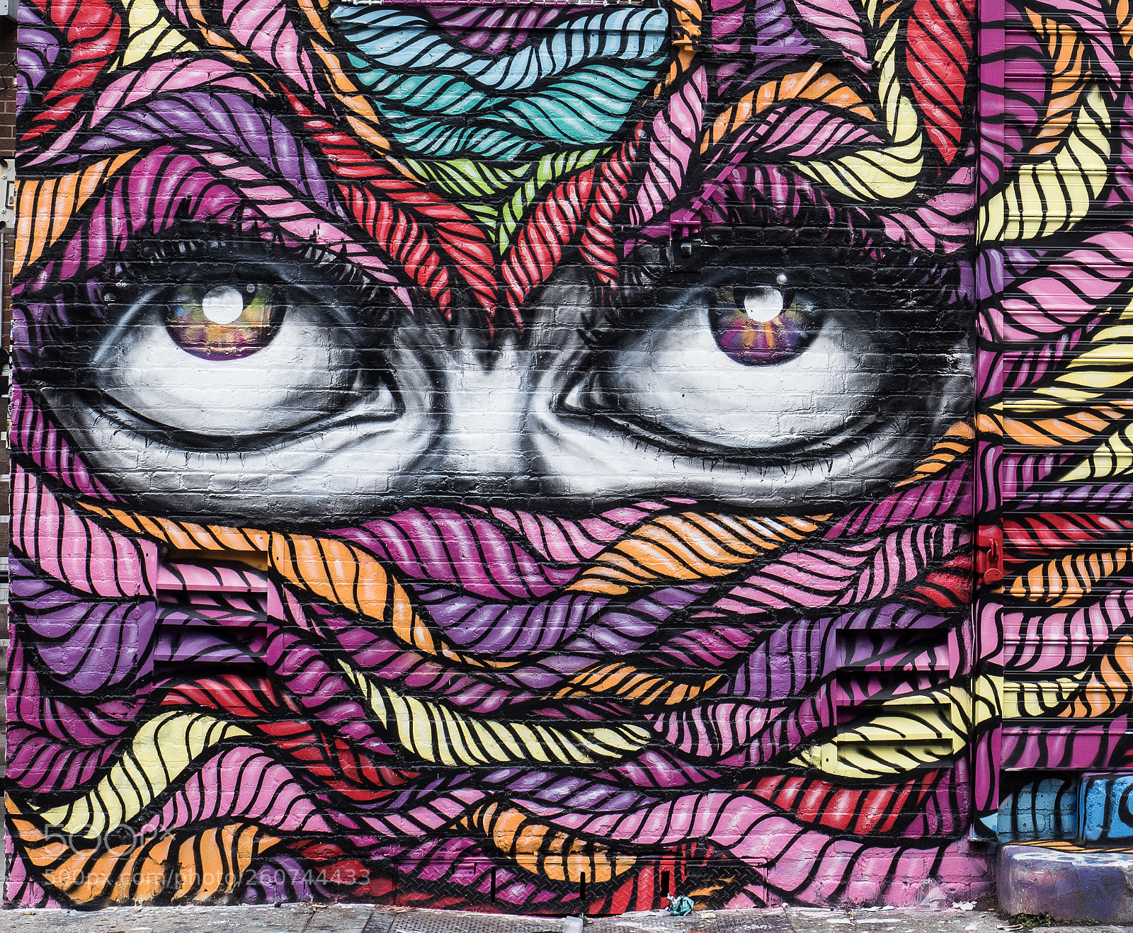 Olympus OM-D E-M1 Mark II sample photo. The bushwick collective a photography